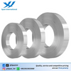 Stainless Steel Strip