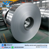 Stainless Steel Strip