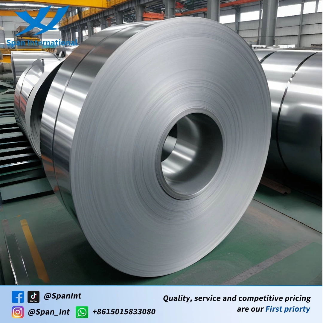 Stainless Steel Strip